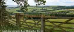 Low Hedgeley Caravan Site And Campsite