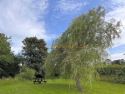 Low Hedgeley Caravan Site And Campsite