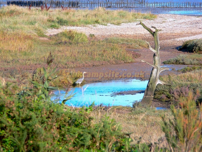 Fen Farm Caravan Site