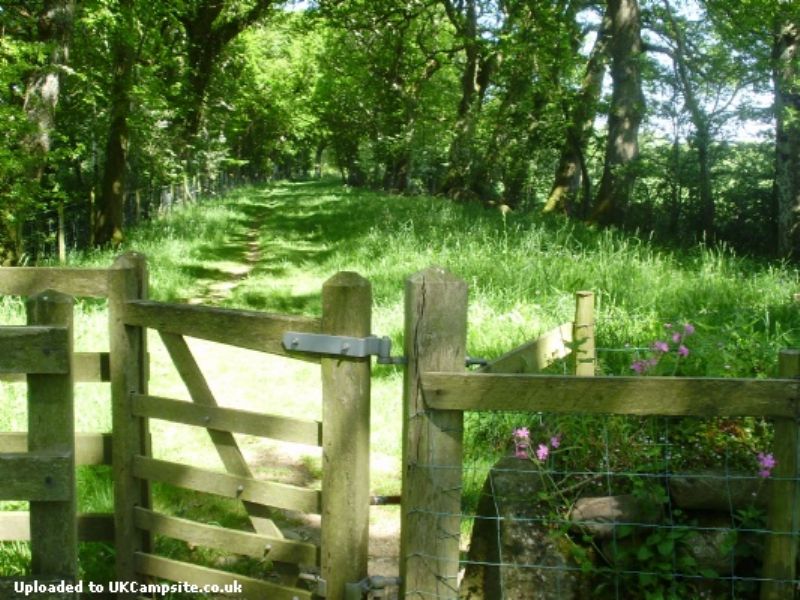 Tyddyn Heilyn Caravan Park