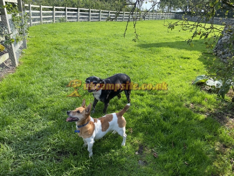 Farditch Farm Caravan Site