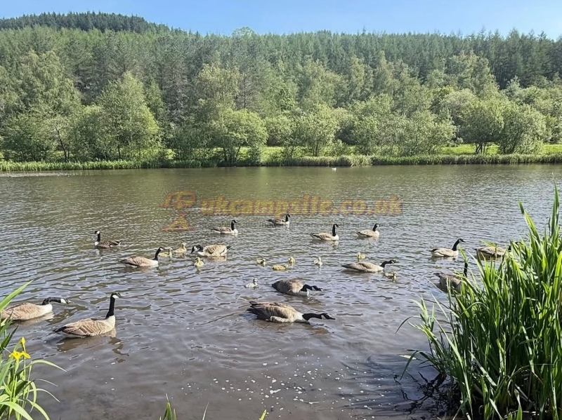 Lakeside Caravan And Camping