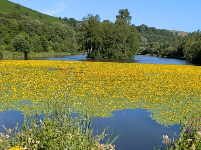 Lakeside Caravan And Camping