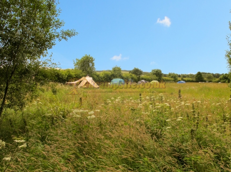 Greenhillock Glamping And Camping