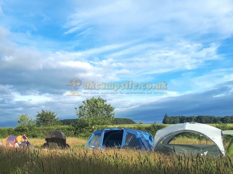 Greenhillock Glamping And Camping