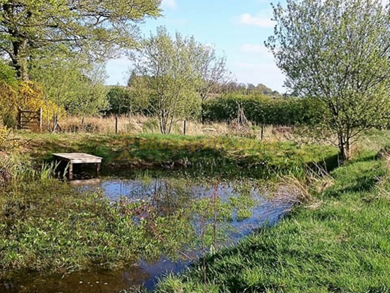 Greenhillock Glamping And Camping