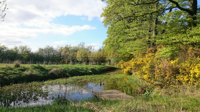 Greenhillock Glamping And Camping