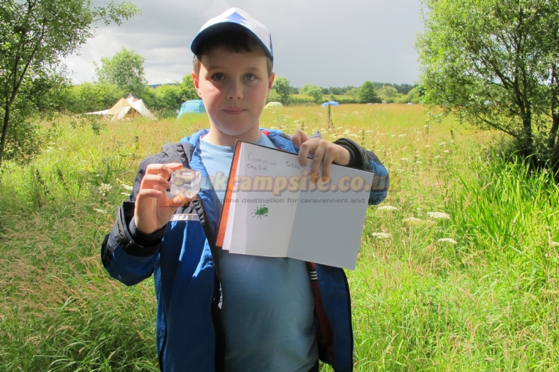 Greenhillock Glamping And Camping