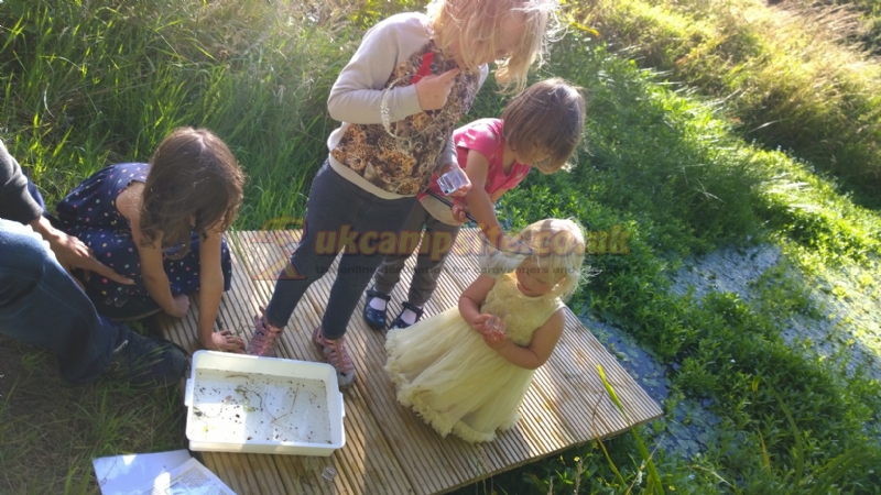 Greenhillock Glamping And Camping