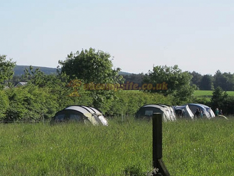 Greenhillock Glamping And Camping