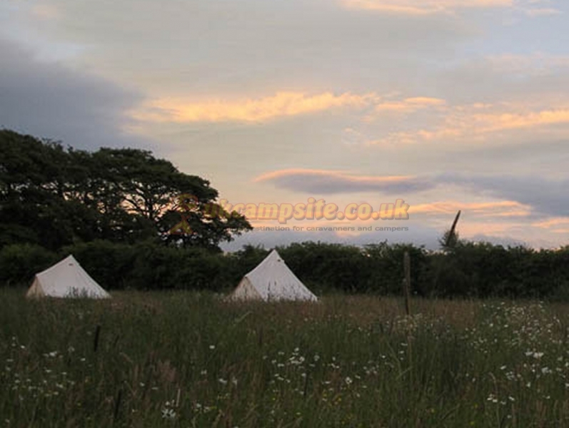 Greenhillock Glamping And Camping