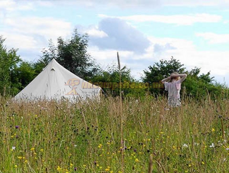 Greenhillock Glamping And Camping
