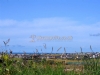 Afallon Touring Park