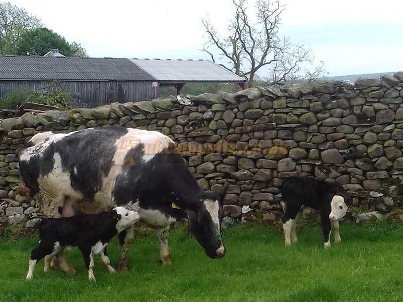 Lundholme Farm