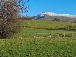 Lundholme Farm