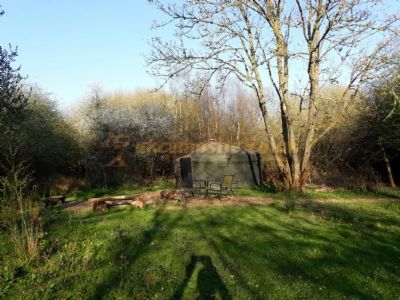 Wyld Wood Camping And Glamping