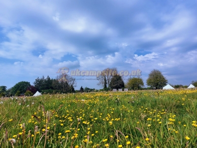 Firecrest Valley Glamping And Campsite