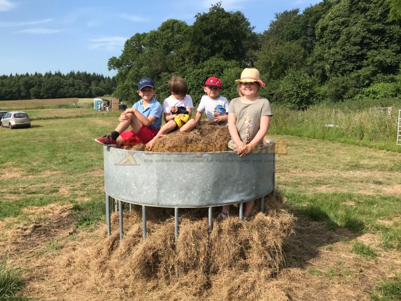 Camping At Tomkins Farm