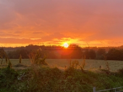 Camping At Tomkins Farm