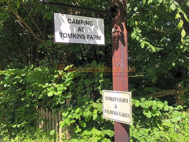 Camping At Tomkins Farm