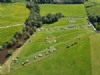 Camping At Tomkins Farm