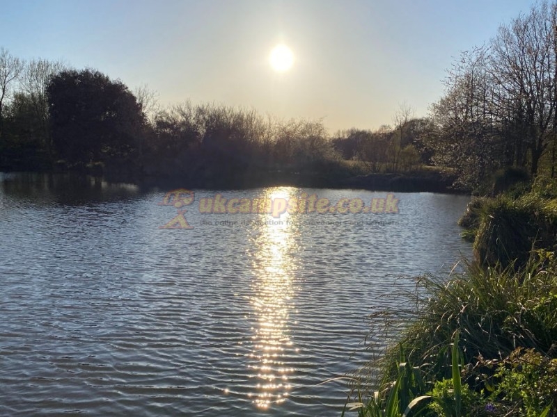 Camping At Tomkins Farm