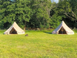 Camping At Tomkins Farm