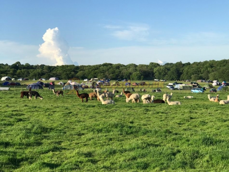 Camping At Tomkins Farm