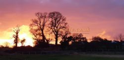 Glebe Farm Caravan Park