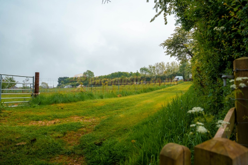Ernies Plot Certificated Site
