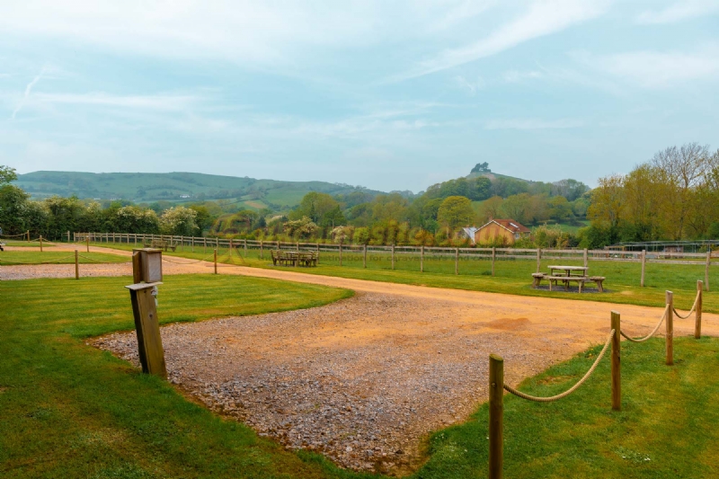 Ernies Plot Certificated Site