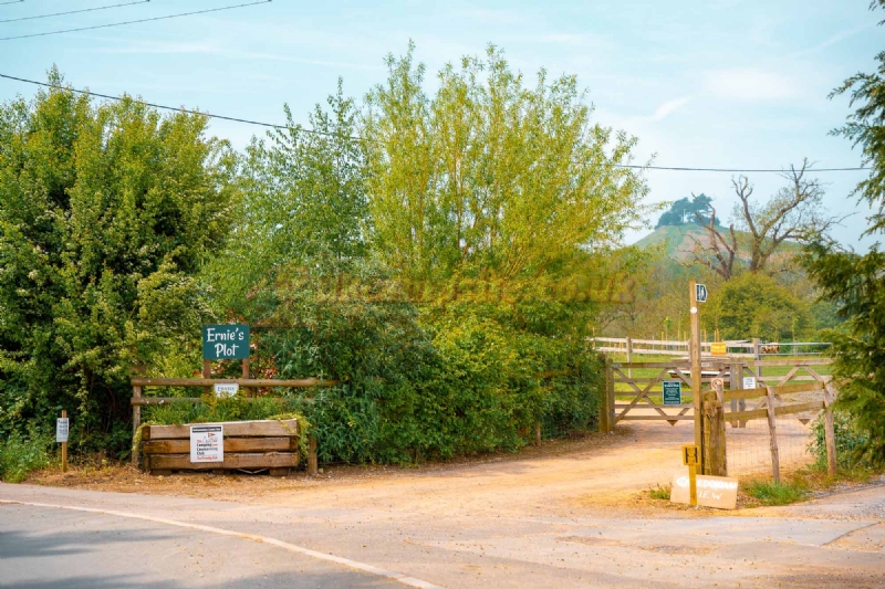 Ernies Plot Certificated Site