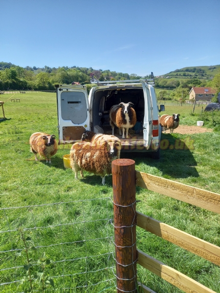 Ernies Plot Certificated Site
