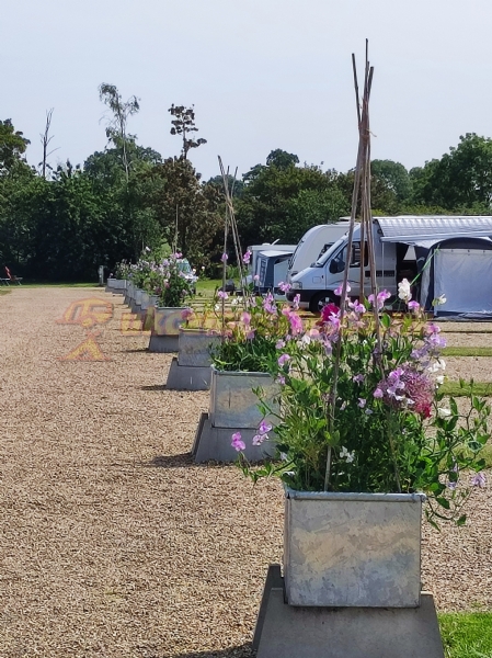 Haw Wood Farm Caravans And Camping
