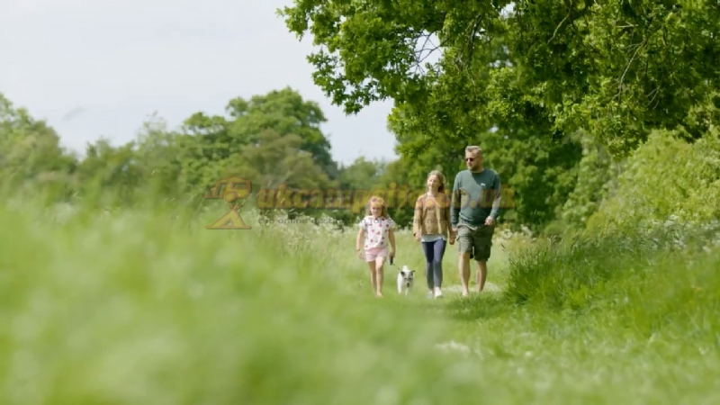 Haw Wood Farm Caravans And Camping
