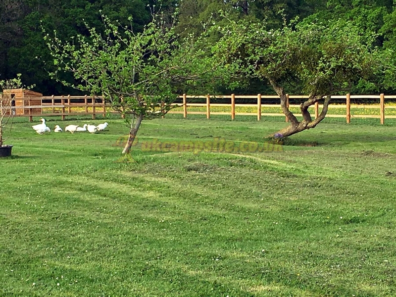 Bishops Lydeard Caravan And Camping Site
