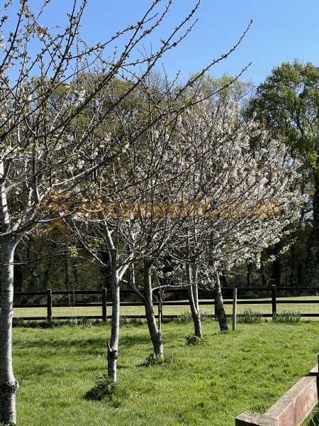 Bishops Lydeard Caravan And Camping Site