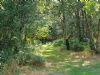 Carlton Grange Caravan Site Carlton Grange Caravan Site