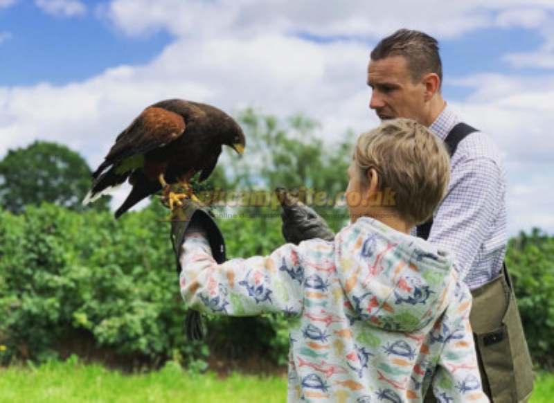 Notgrove Holidays Glamping