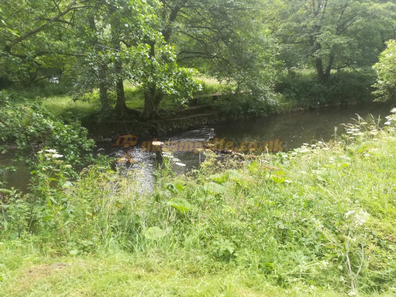 Manifold Valley Campsite