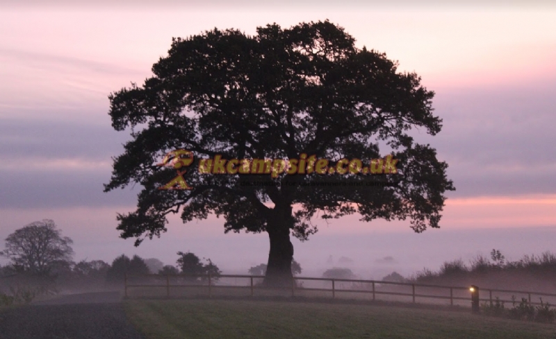 Marbury Camp And Lodge