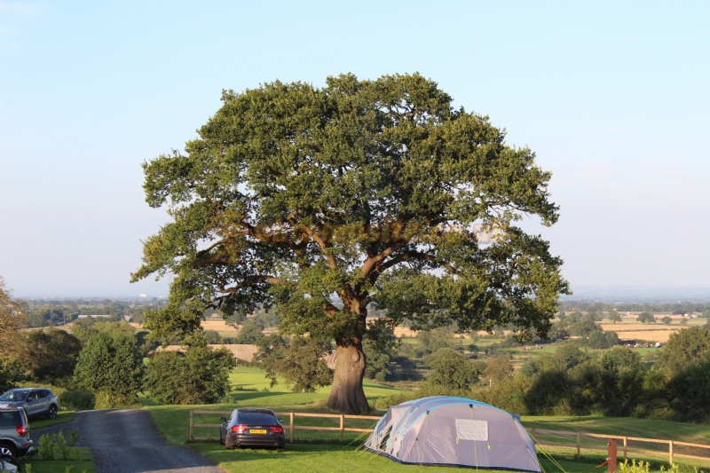 Marbury Camp And Lodge