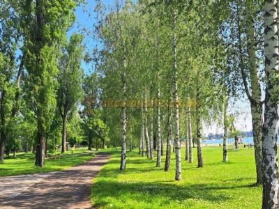 Camping Zlate Piesky
