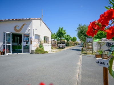 Camping Essi