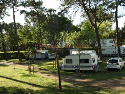 Camping El Rosal