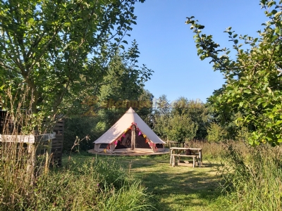Ffynnonwen Camping