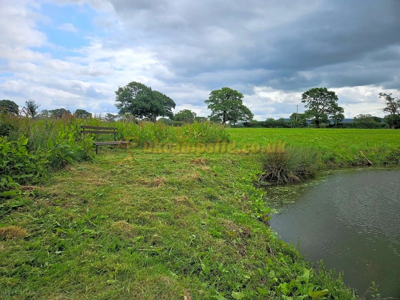 Manor Farm Campsite