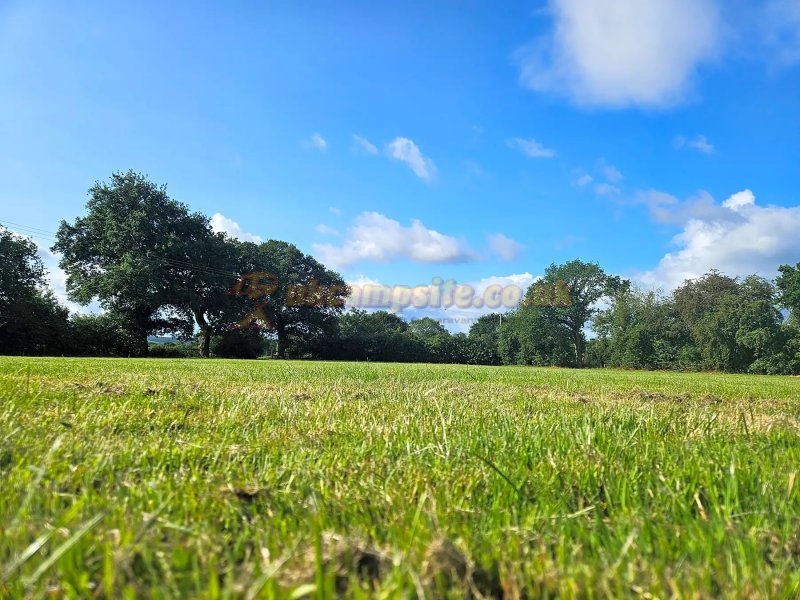 Manor Farm Campsite