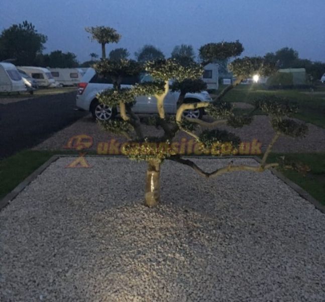 Olive Tree Caravan And Camping Adults Only