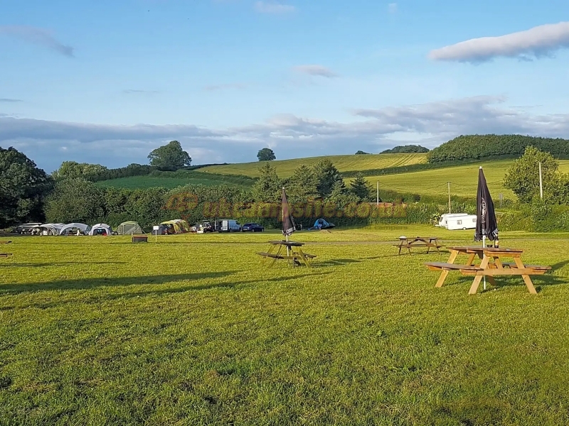 Tuckers Grave Inn And Campsite